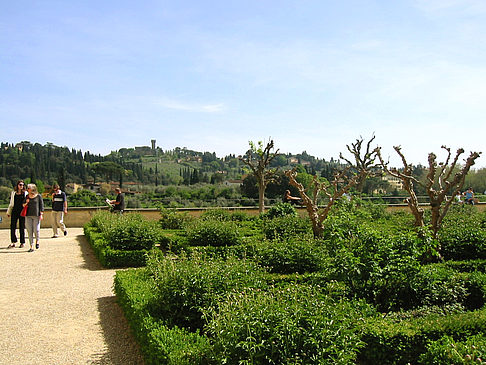 Foto Im Garten des Palazzo Pitti - Florenz
