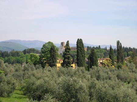 Fotos Im Garten des Palazzo Pitti